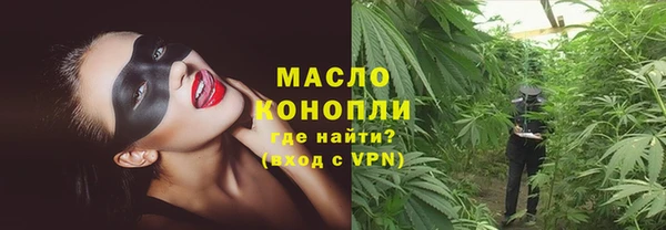 шишки Ельня