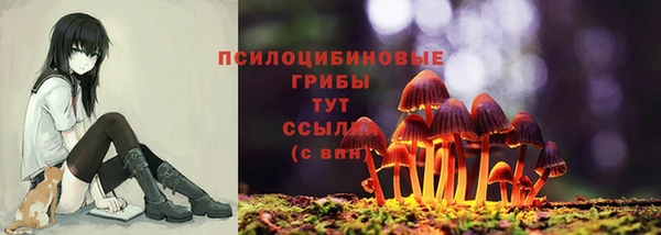 СК Елабуга