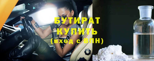 шишки Ельня