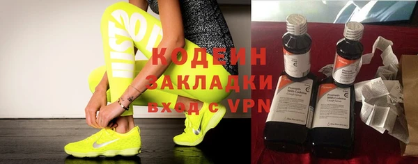 шишки Ельня