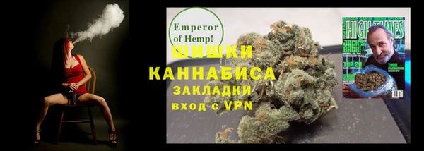 шишки Ельня