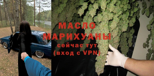 шишки Ельня