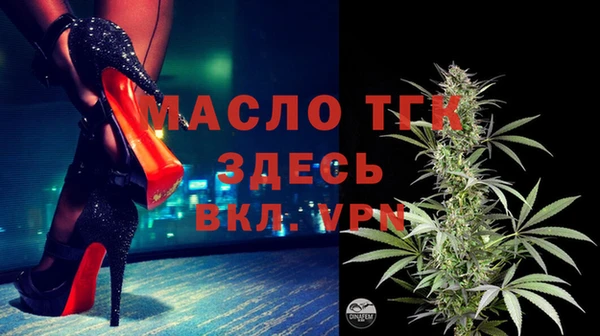 шишки Ельня