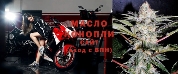 шишки Ельня