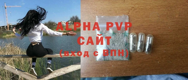 шишки Ельня