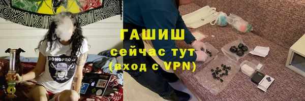 шишки Ельня