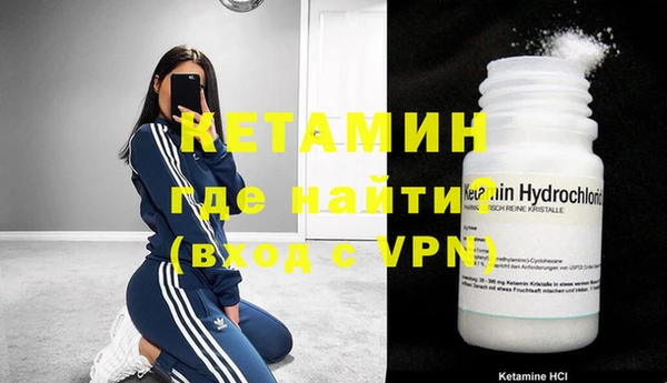 шишки Ельня