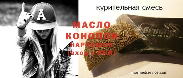 шишки Ельня