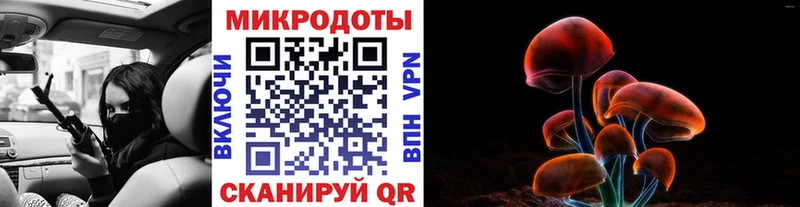 Купить где  Железногорск-Илимский  Галлюциногенные грибы Cubensis 